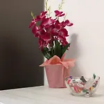 Carpe Diem Отель типа 