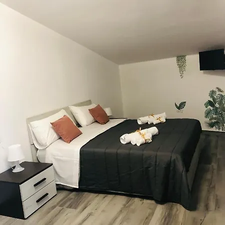 Carpe Diem كازيرتا